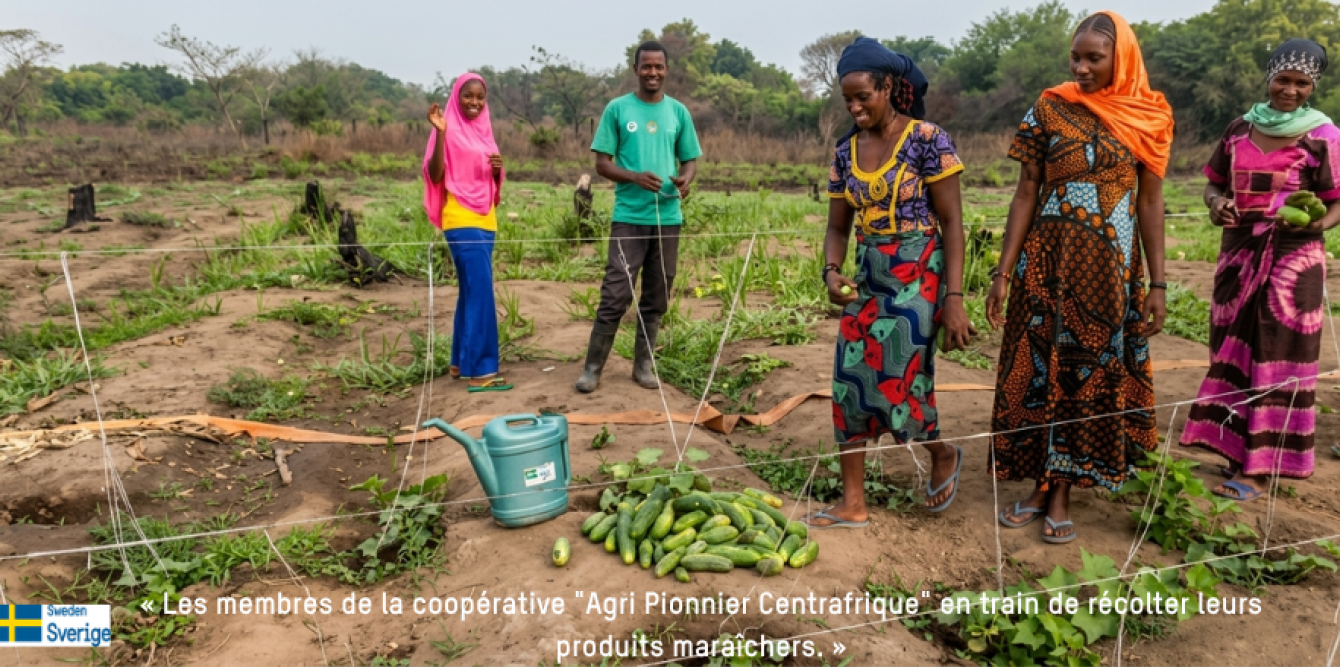 « Sur notre site, qui s'étend désormais sur environ 4 hectares pour l'ensemble des bénéficiaires, nous voulons prouver à tous les jeunes que l'on peut gagner sa vie dignement grâce à la terre. Quand le travail devient lourd, nous embauchons d'autres jeunes du quartier pour nous aider, créant ainsi un petit moteur d'emploi local. »